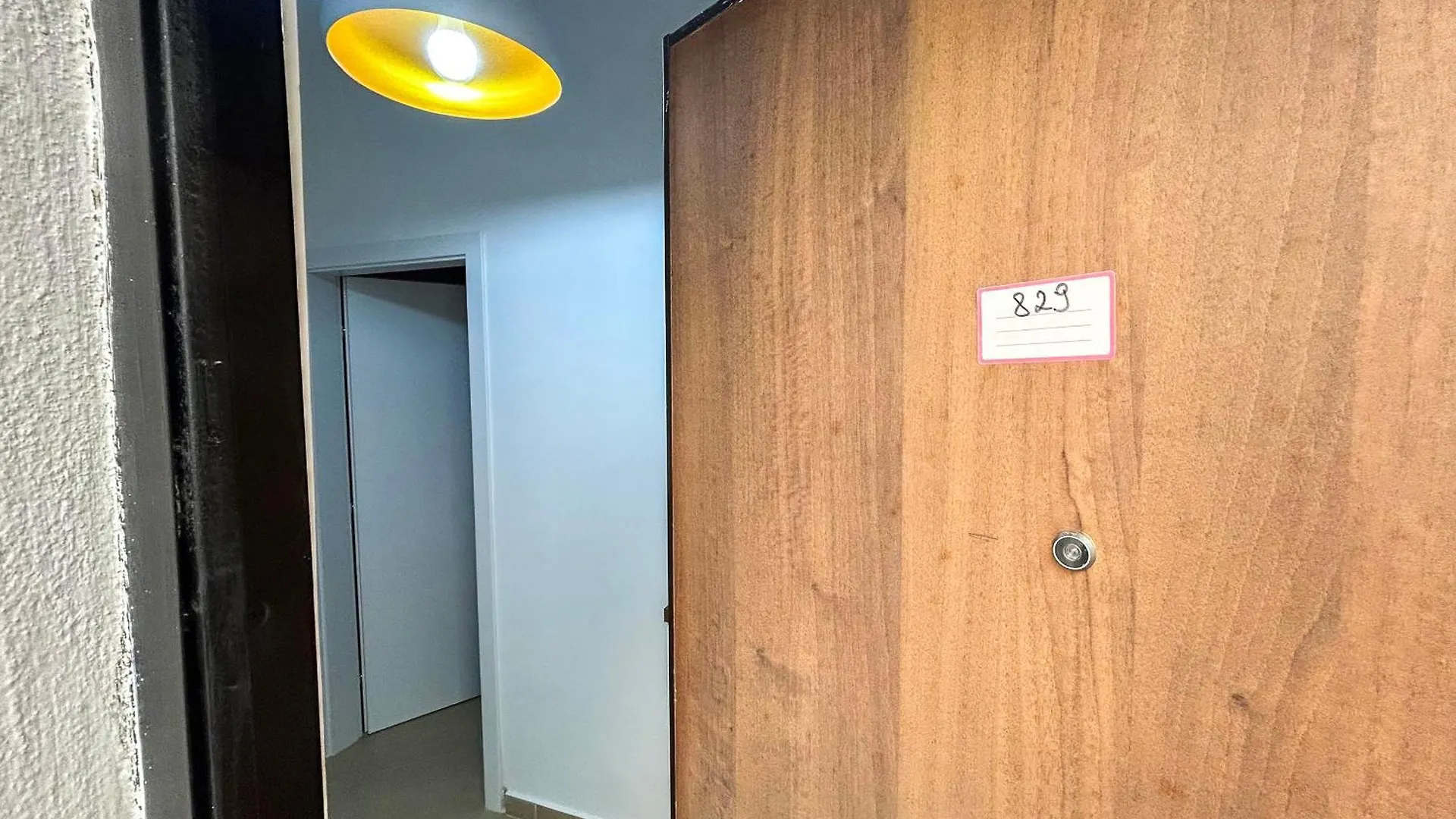 1 Bedroom Apartment 829 格勒姆